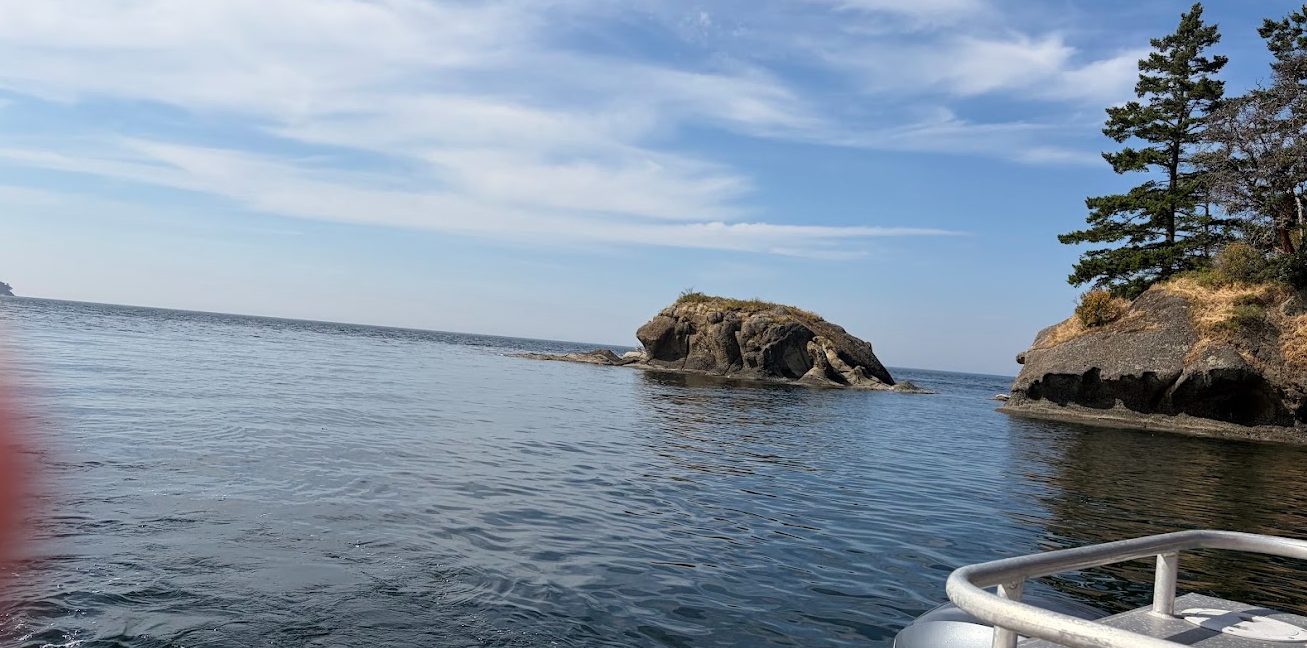 Mike on the Move: Seattle, Orcas, Crabs and an Old Rock & Roll Reunion